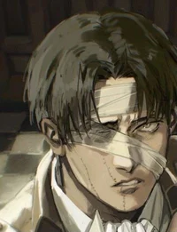 Levi Ackerman 