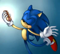 Sonic with a hot dog
