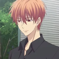 Kyo sohma husband 