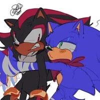 Sonic and Shadow