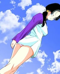 Videl culona