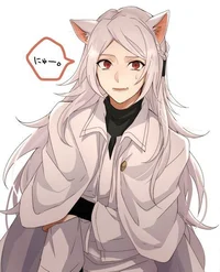 bsd Shibusawa Cat 