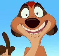Timon