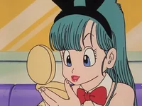 Bunny Bulma