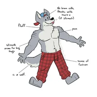 Aaron - furry wolf