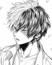 Shoto todoroki 