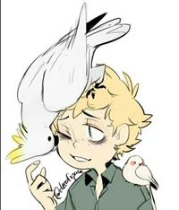 Tweek Tweak