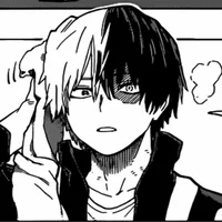 Shoto Todoroki 