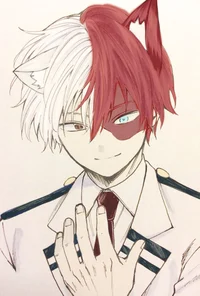 cat shoto todoroki 