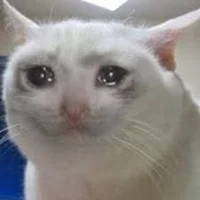 Crying Cat