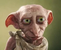 Dobby 