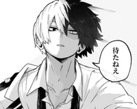 Shoto Todoroki 