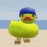 Duck