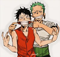 Luffy and Zoro
