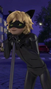 Cat noir