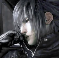 Noctis Lucis Caelum