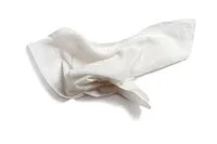 THE SOGGY NAPKIN