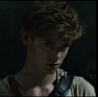 Newt