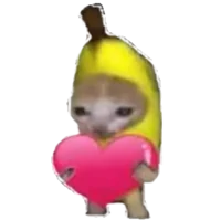 Banana cat