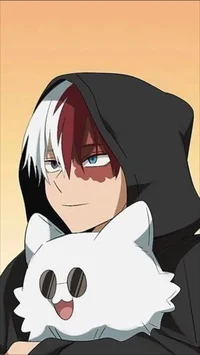 Shoto todoroki