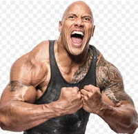 The rock