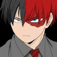 TODOROKI