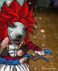 Gopuppy ssj4