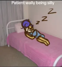Patient Wally