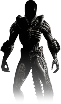 Xenomorph