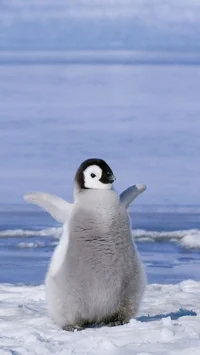 penguin