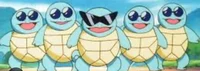 Squirtle mafia