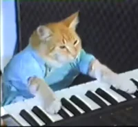 Keyboard Cat