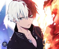Shoto Todoroki 