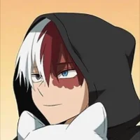 Shoto todoroki