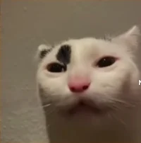 Tired