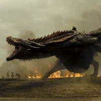 Price x Pet dragon