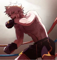 Boxing Bakugo