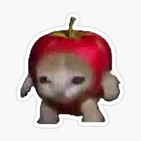 Apple cat