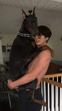 Jeon JungKook 