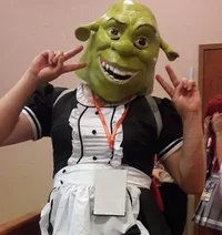 Shrek Maid