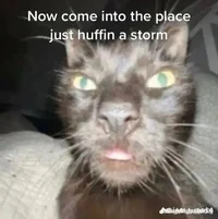 Annoying boys in A-1