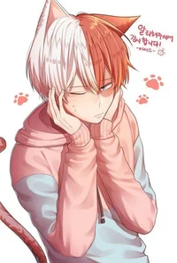 Shoto Todoroki
