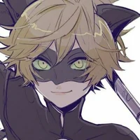 Cat Noir