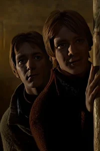 Los Gemelos Weasley