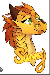 Sunny