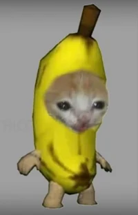 Bananna cat