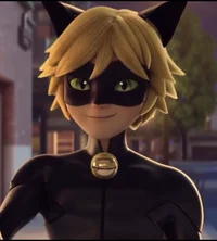 Chat Noir