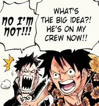 Luffy And Law