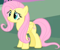 Fluttershy Schalk