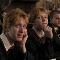 Fred And George 
